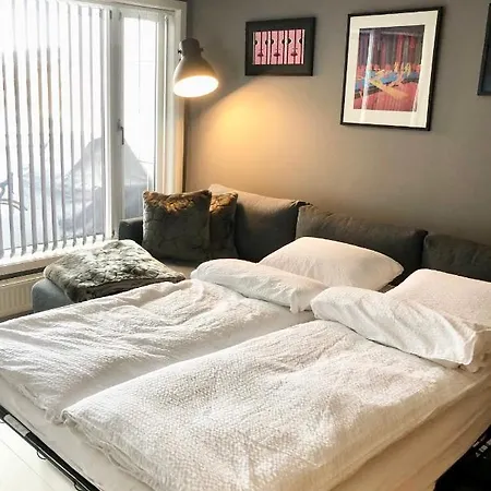 Modern 2 Bedroom In Centre * אוסלו